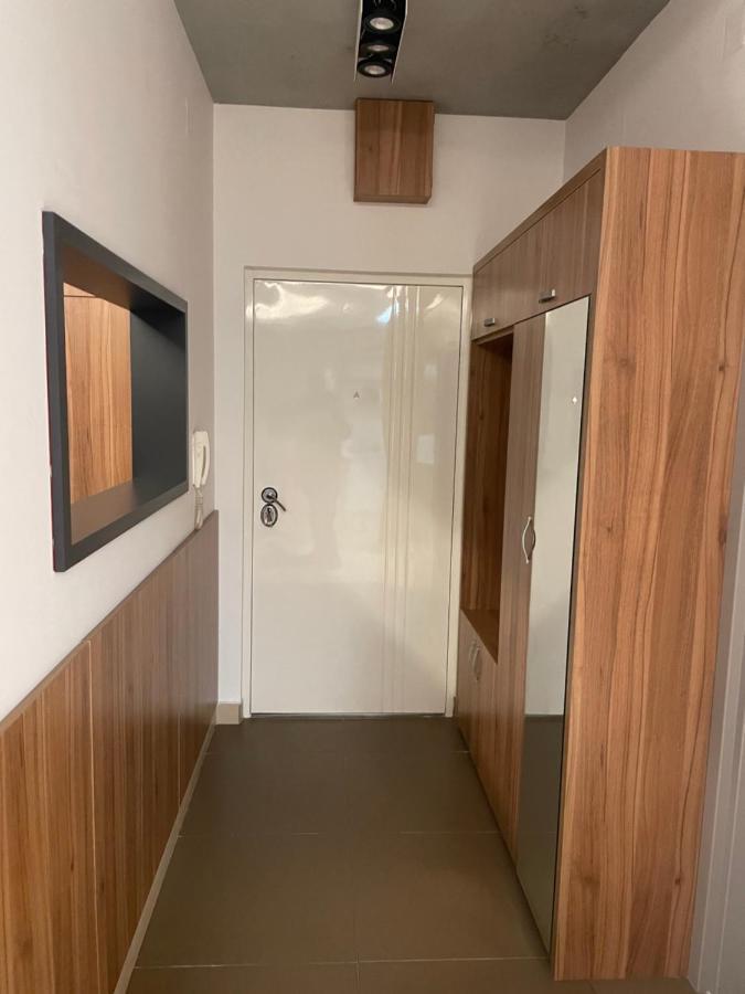Leo Lux 1 Apartment Nis Bagian luar foto